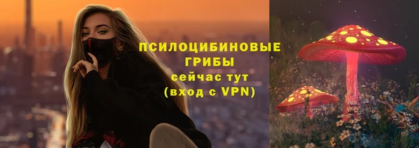 прущий лед Алзамай