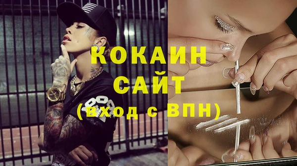 прущий лед Алзамай