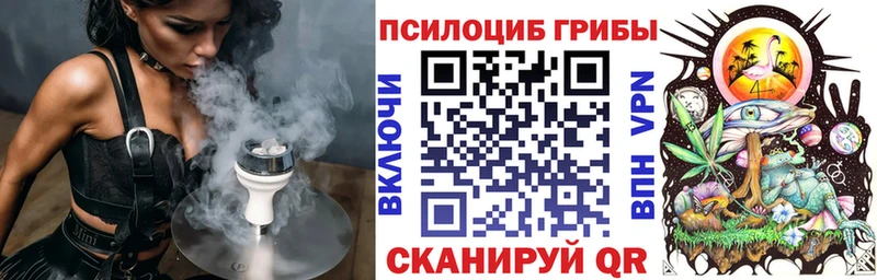 закладка Уяр Псилоцибиновые грибы Cubensis